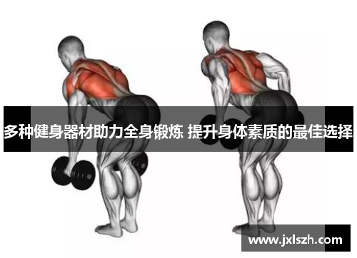多种健身器材助力全身锻炼 提升身体素质的最佳选择