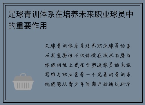 足球青训体系在培养未来职业球员中的重要作用